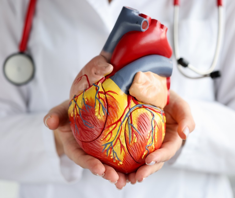 Cafeína en la prevención de la fibrilación auricular recurrent