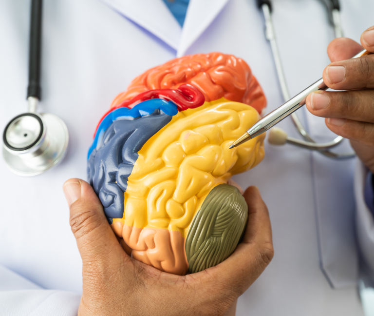 Relación entre infecciones virales y neurodegeneración