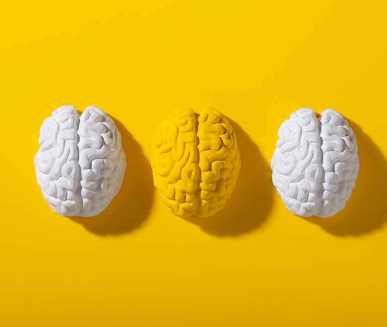 Descubren las cuatro edades del cerebro