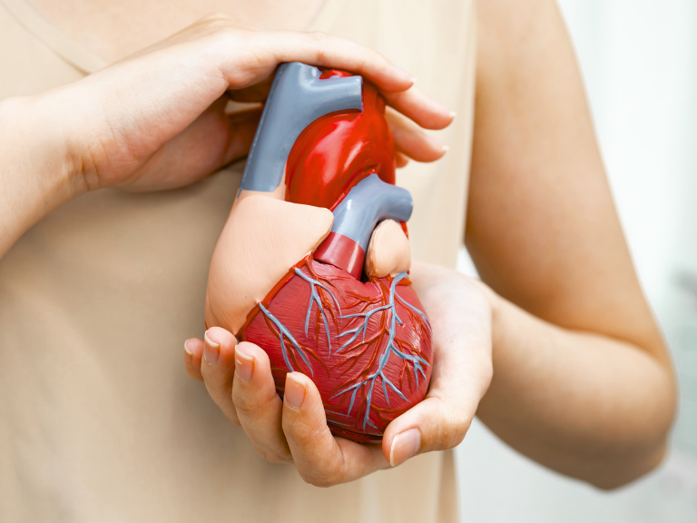 síndrome metabólico ovárico poliendocrino, PMOS, síndrome de ovario poliquístico, PCOS, enfermedades cardiovasculares, enfermedades cardiovasculares ateroscleróticas