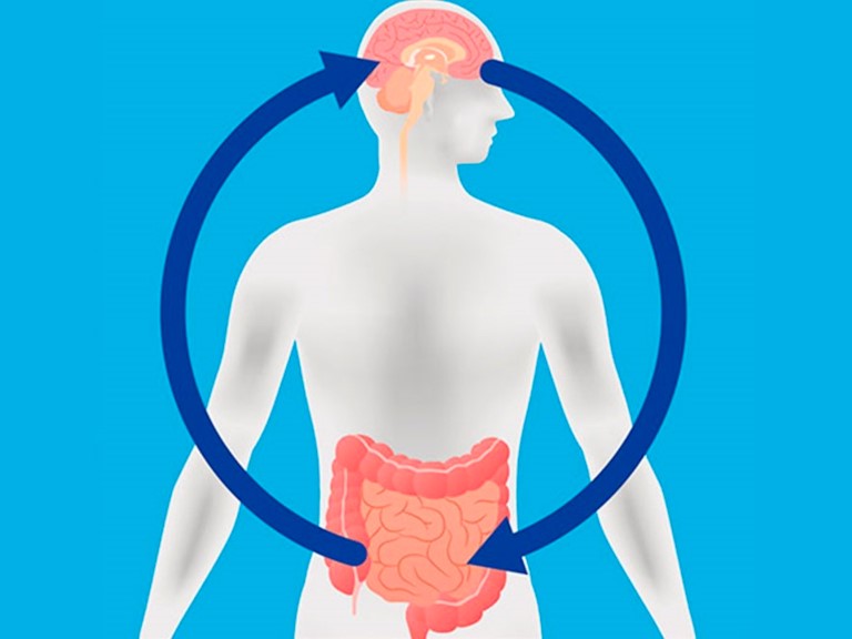 La redefinición de los trastornos intestino-cerebro