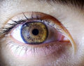 endoftalmitis, simposio oftalmológico, infección intraocular, cirugía ocular, oftalmología Ecuador, Sociedad Nacional de Oftalmología Ecuador, vitrectomía, prevención endoftalmitis, manejo quirúrgico endoftalmitis, retinólogos Ecuador, quirófano oftalmológico, iodopovidona, antibioticoterapia ocular, pérdida de visión, complicaciones cirugía ocular, consenso médico oftalmología, Guayaquil salud visual, instrumentistas quirúrgicos, regulación quirófanos, seguridad quirúrgica