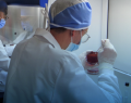 Hospital General del Sur de Quito, HQSur, Anatomía Patológica, patología clínica, laboratorio clínico, diagnóstico, biopsias, procesamiento de muestras, análisis de tejidos, análisis de células, mantenimiento de equipos médicos, tecnología médica, equipamiento hospitalario, procesadores automáticos de tejidos, criostato, colorador de tejidos, citocentrífuga, laboratorio de patología, salud pública, red hospitalaria, Ecuador, Quito, apoyo diagnóstico, modernización hospitalaria, infraestructura sanitaria, diagnóstico de enfermedades