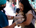 Ministerio de Salud Pública de Ecuador, MSP Ecuador, Ana Sánchez, Campaña Nacional de Vacunación Antirrábica 2026, vacunación antirrábica Ecuador, vacuna contra la rabia, rabia en perros y gatos, rabia canina, rabia felina, vacunación gratuita de mascotas, perros y gatos, prevención de la rabia, eliminación de la rabia, rabia humana, Ecuador libre de rabia, Quito, Carapungo, Organización Panamericana de la Salud, OPS, Organización Mundial de la Salud, OMS, Fondo Rotatorio de la OPS, Zero by 30, Stop Rabies, Agencia Alemana de Cooperación Internacional, GIZ, tenencia responsable de mascotas, vigilancia epidemiológica, salud pública, zoonosis, vacunación de perros y gatos, brigadas de vacunación