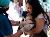 Ministerio de Salud Pública de Ecuador, MSP Ecuador, Ana Sánchez, Campaña Nacional de Vacunación Antirrábica 2026, vacunación antirrábica Ecuador, vacuna contra la rabia, rabia en perros y gatos, rabia canina, rabia felina, vacunación gratuita de mascotas, perros y gatos, prevención de la rabia, eliminación de la rabia, rabia humana, Ecuador libre de rabia, Quito, Carapungo, Organización Panamericana de la Salud, OPS, Organización Mundial de la Salud, OMS, Fondo Rotatorio de la OPS, Zero by 30, Stop Rabies, Agencia Alemana de Cooperación Internacional, GIZ, tenencia responsable de mascotas, vigilancia epidemiológica, salud pública, zoonosis, vacunación de perros y gatos, brigadas de vacunación