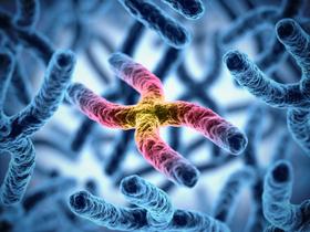 Variantes genéticas se vinculan con la respuesta al litio