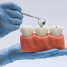 deterioro cognitivo, demencia, función cognitiva, microbioma oral, salud oral, salud bucal, salud periodontal, salud cognitiva