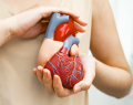 síndrome metabólico ovárico poliendocrino, PMOS, síndrome de ovario poliquístico, PCOS, enfermedades cardiovasculares, enfermedades cardiovasculares ateroscleróticas