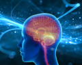 TDAH, TDAH en adultos, trastorno por déficit de atención e hiperactividad, comorbilidades del TDAH, deterioro cognitivo, demencia