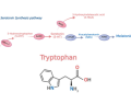 trastorno por déficit de atención e hiperactividad, TDAH, tratamiento TDAH, serotonina, dopamina