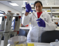 hantavirus, vacuna contra el hantavirus, vacuna chilena hantavirus, cepa Andes, virus Andes, Dra. María Inés Barría, María Inés Barría, Universidad San Sebastián, Facultad de Medicina Universidad San Sebastián, hantavirus Chile, casos de hantavirus en Chile, tratamiento hantavirus, anticuerpos recombinantes, anticuerpos humanos, ensayos clínicos hantavirus, investigación científica chilena, Rocky Mountain Laboratories, Instituto Robert Koch, transmisión persona a persona hantavirus, brote MV Hondius, crucero MV Hondius, Ministerio de Salud de Chile, letalidad hantavirus, respuesta inmune hantavirus, cooperación internacional científica, laboratorio hantavirus, terapia contra hantavirus, científicos chilenos, enfermedad huérfana, financiamiento investigación médica